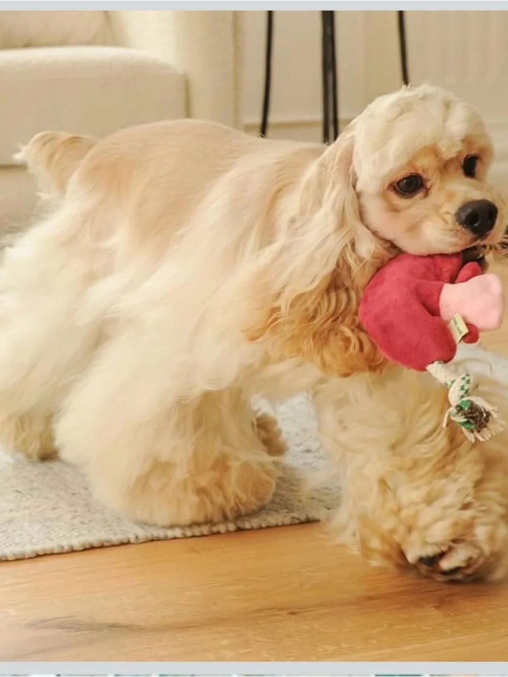 Plush Mushroom Rope Dog Toy - Pink & Berry, NWT